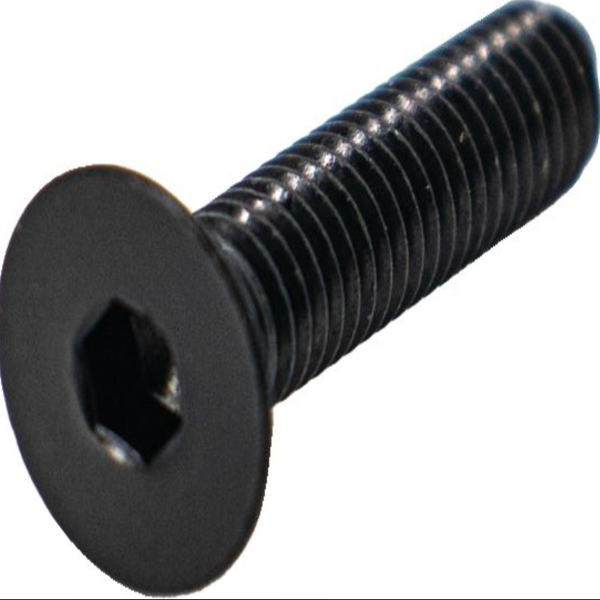 Bosch 10007320 SCREW