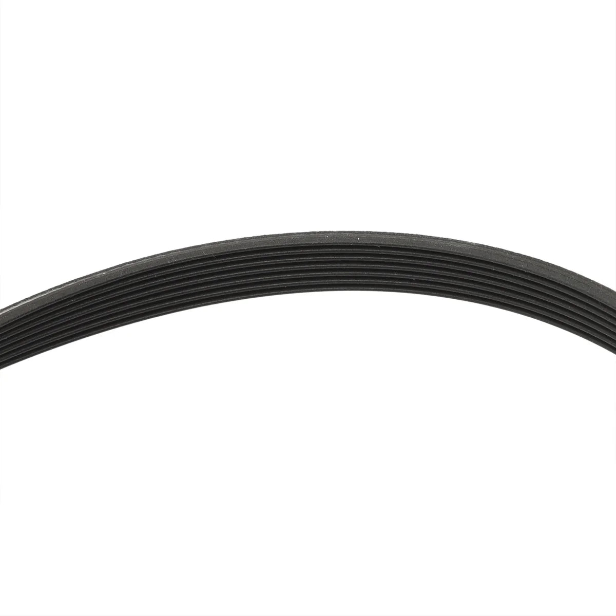 W11661103 Whirlpool Dryer Belt