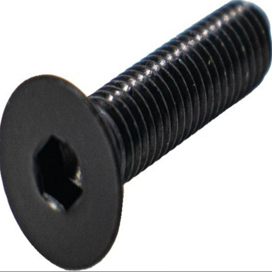 Bosch 10007320 SCREW