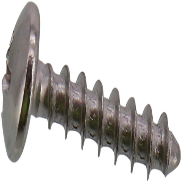 Bosch 10007832 SCREW