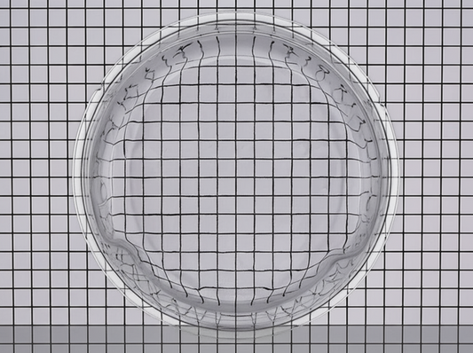 Clear plastic grid on a grid-patterned background