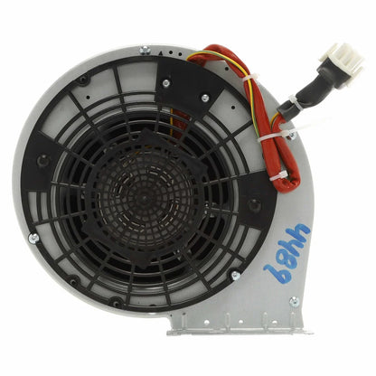 W11106377 Whirlpool Range Hood Blower Fan