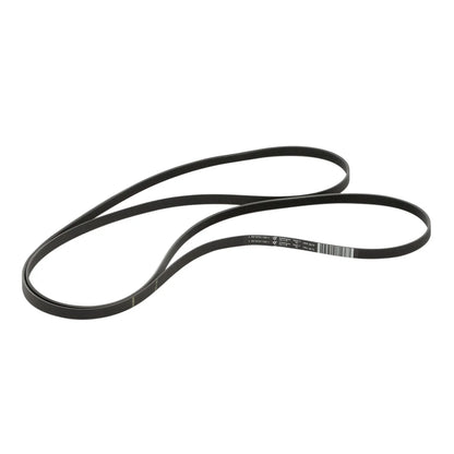 W11661103 Whirlpool Dryer Belt