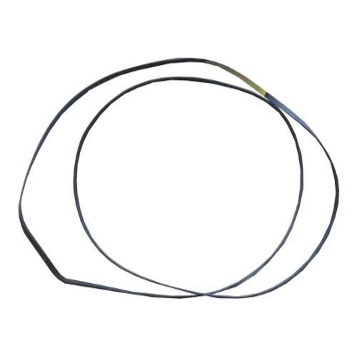 4400EL2001D LG Dryer Drum Belt, Poly V - Appliance Parts Canada